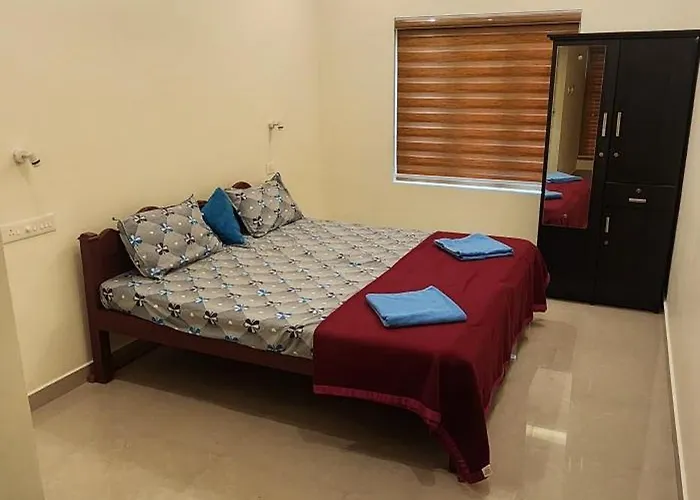 Punerjeni Homes