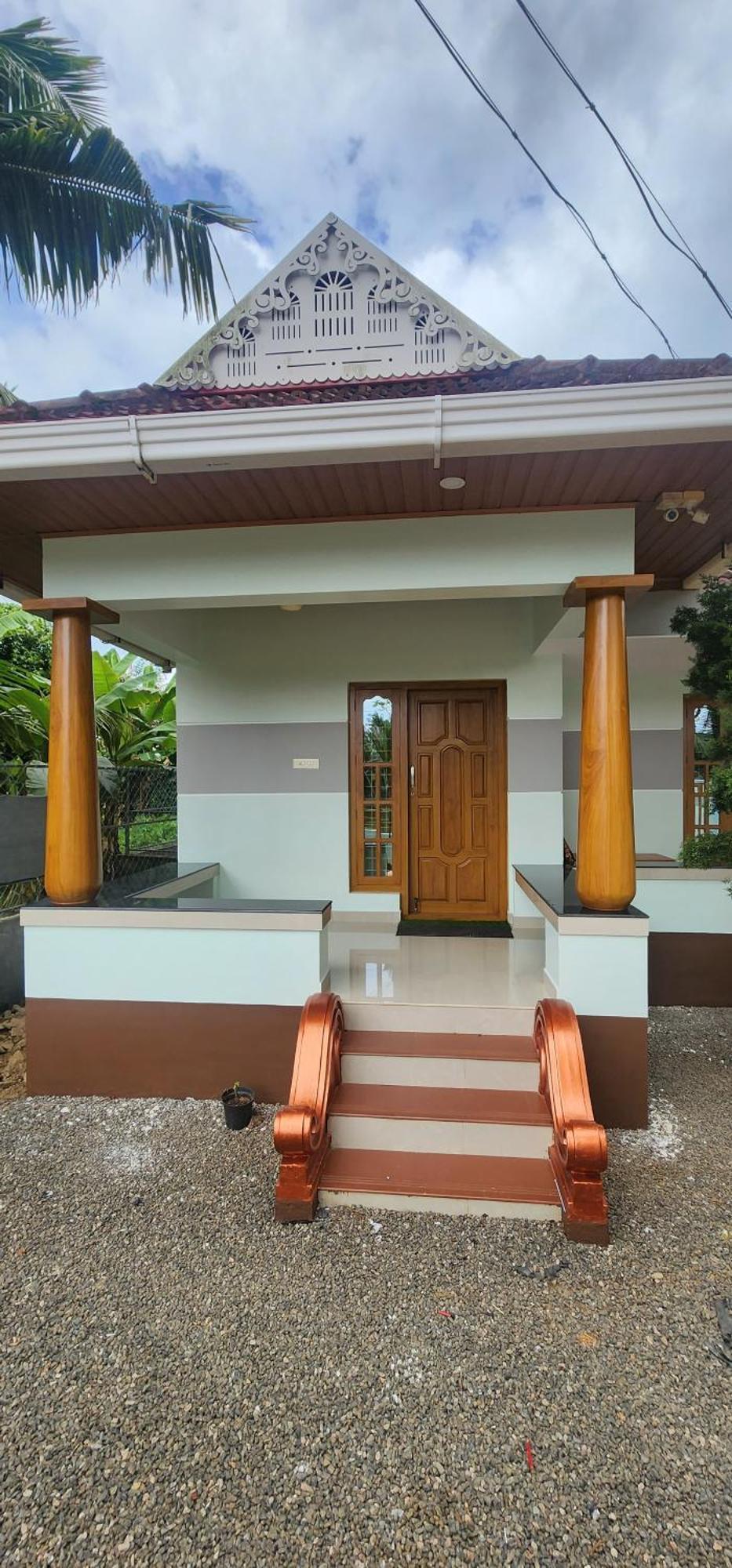 Punerjeni Homes